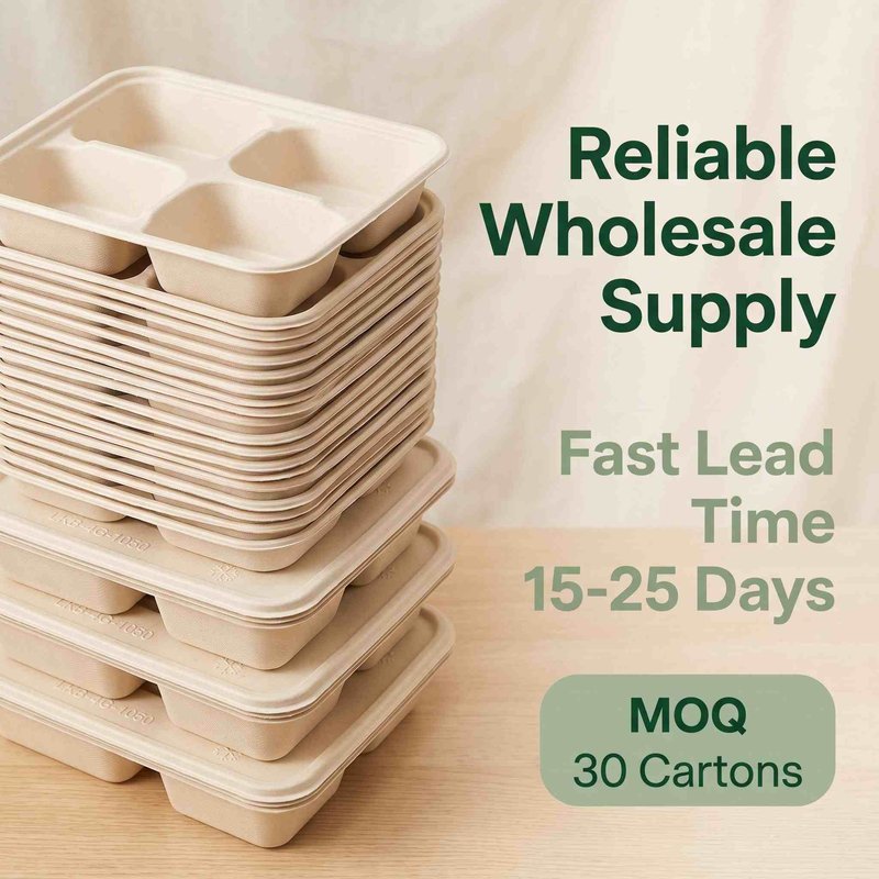 Four-Compartment Biodegradable Bagasse Meal Tray 220×190mm – Inflight &amp;amp;amp;amp;amp;amp;amp; Catering - image 6