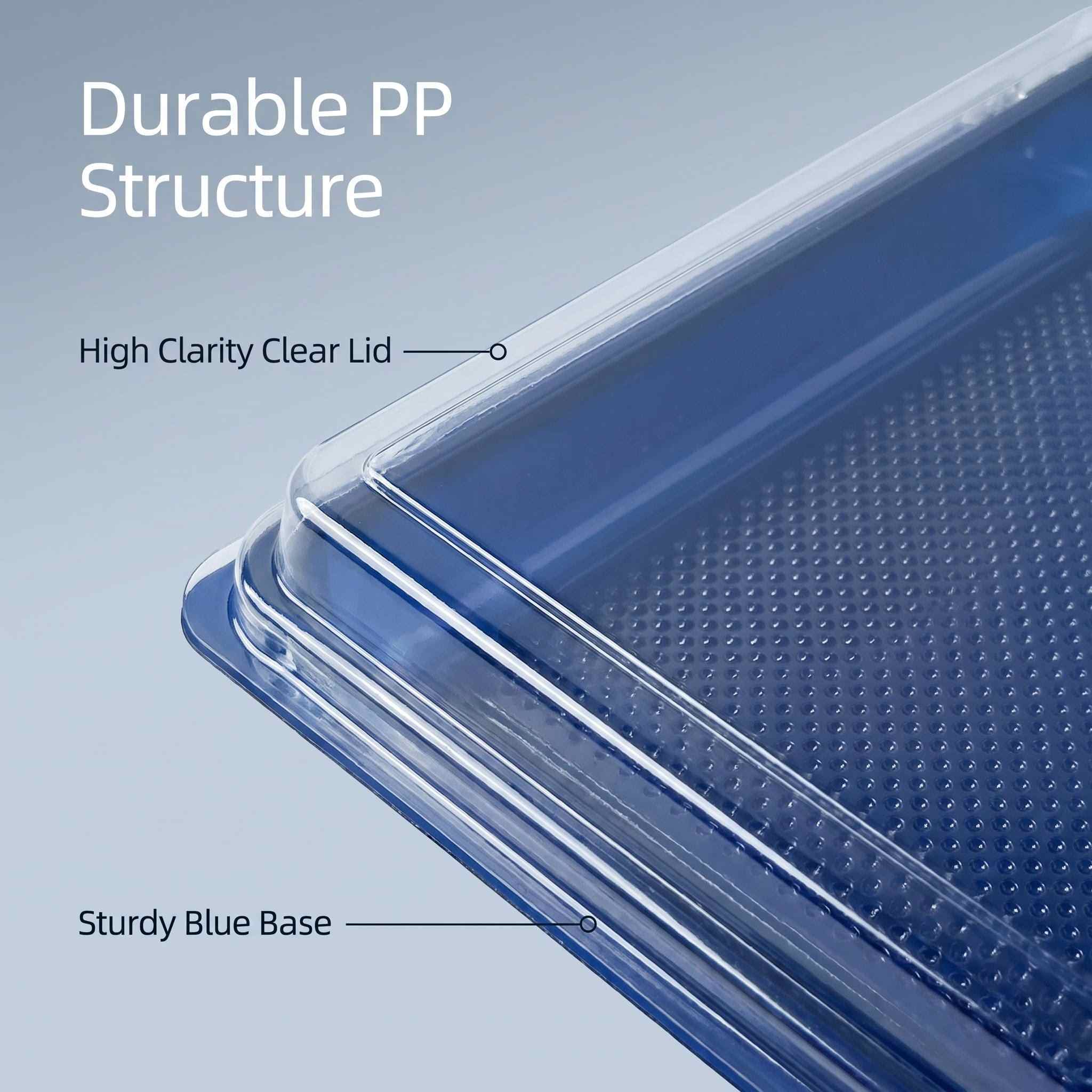 Detail of the high-clarity transparent lid featuring a secure snap-fit mechanism for food freshness.